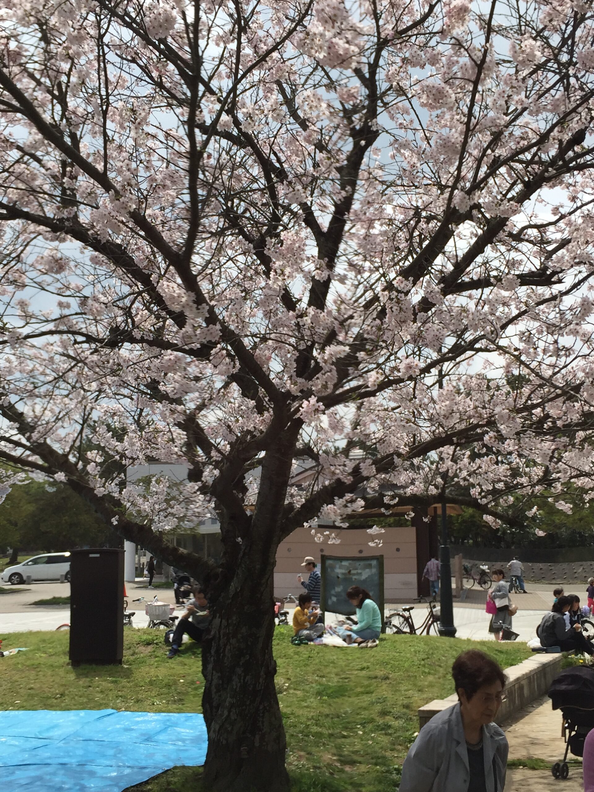 福岡市西区姪浜中央公園の画像
